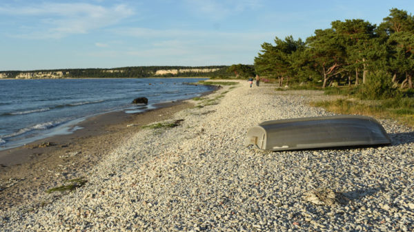 Sommar på Celiakförbundets kansli