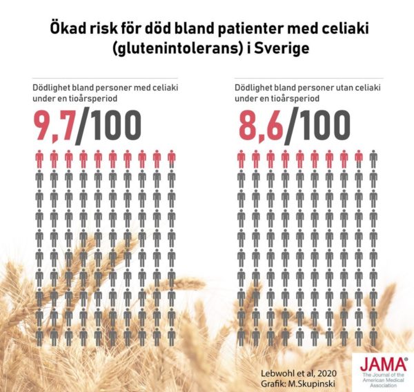 Ny studie visar ökad risk för att dö i förtid vid celiaki