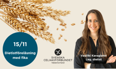 Dietistföreläsning med leg.dietist Vasiliki Karagianni